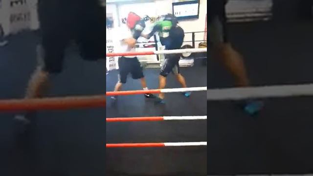Reyhan Todorov (BUL) vs Baktash Saidi (TUR) sparring ! смотреть онлайн