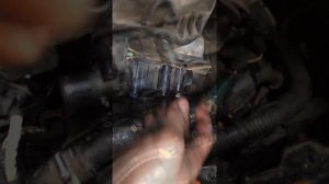 Замена термостата на Пежо 307