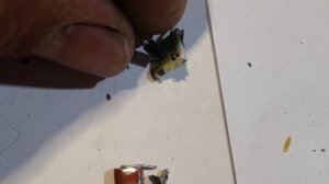 Генератор отрицательных ионов из фена.Что внутри?