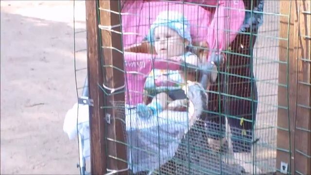 Парк имени Кирова Улочки ПетербургаKirov Park St. Petersburg Streets of St. Petersburg Fateeva Life смотреть онлайн