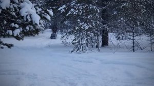 Мотобуксировщик IKUDZO K15 STOCK, ПРЕМИУМ по цене бюджетника