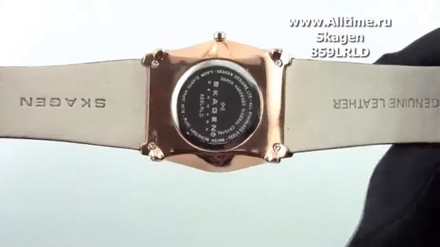 Мужские наручные часы Skagen 859LRLD смотреть онлайн