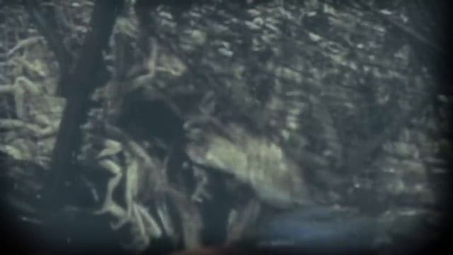 Monster Hunter Tri - Crabs смотреть онлайн