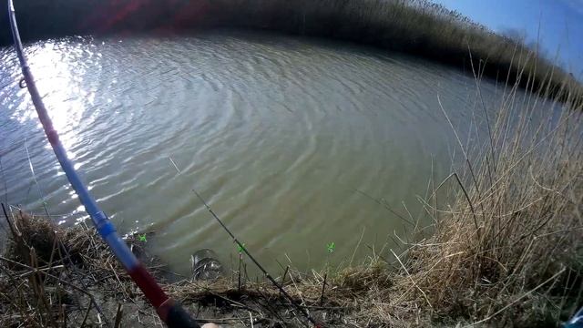 Чехонь! Рыбец! Судак! Этот канал не перестает меня удивлять! Часть 2 смотреть онлайн