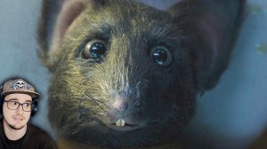 ЖУТКАЯ ТРАГЕДИЯ, обернутая КОМЕДИЕЙ - Этот ДОМ ► MysteryForce (ч.2) | Реакция