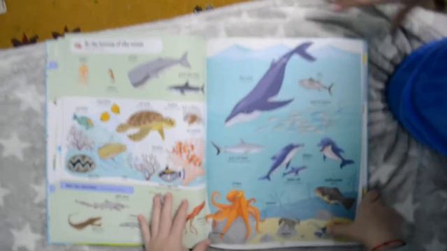 книга CLEVER 1000 животных я учу английский смотреть онлайн
