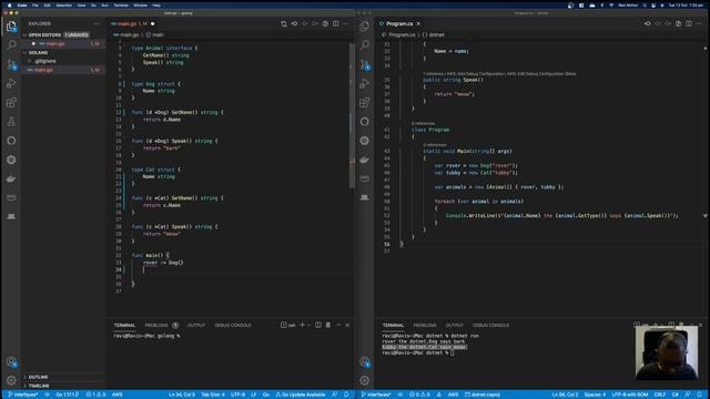 06 Golang for C# Developers - interface, struct and class смотреть онлайн