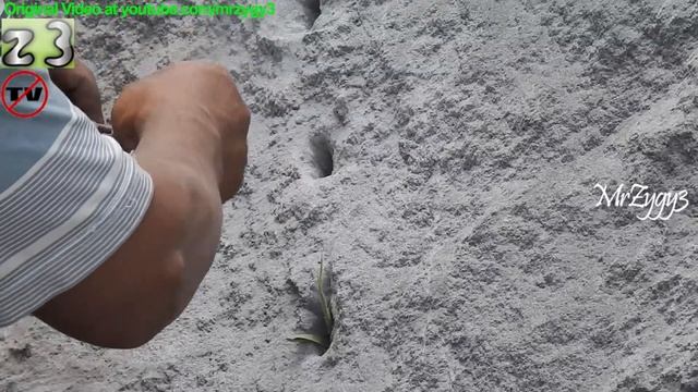AWESOME !!! Massive Rock Splitting Using Grass Weed And Hand Chisel Hammer смотреть онлайн