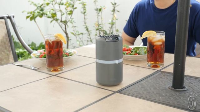 No mosquitos beyond this point. смотреть онлайн