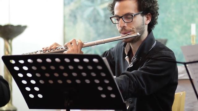 Proyecto Meg - 2 do Movimiento - Concierto de Brandenburgo N° 2 - J.S. Bach смотреть онлайн