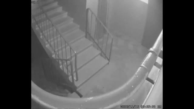 Система видеонаблюдения в подъезде жилого дома смотреть онлайн