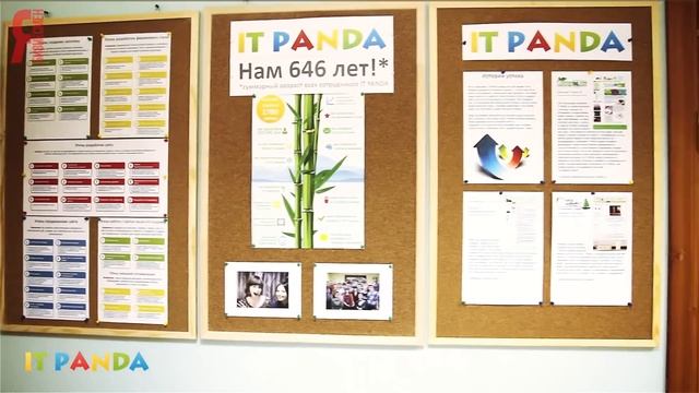 Студия создания сайтов IT PANDA смотреть онлайн