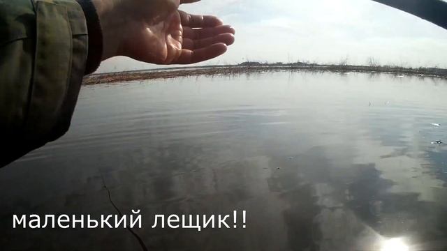Лучшие поклевки на боковой кивок! Летняя мормышка, безмотылка. Часть 1. смотреть онлайн