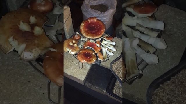 Печь в работе - максимальное использование смотреть онлайн
