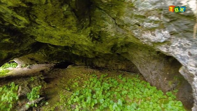 Бабье ухо смотреть онлайн