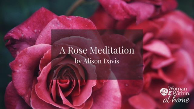 Rose Meditation By Alison