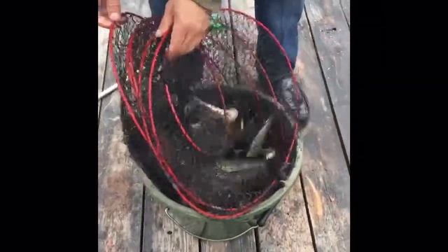 МАЛЫШ И ПАПА ПОЙМАЛИ МНОГО РЫБЫ . Fishing with papa смотреть онлайн