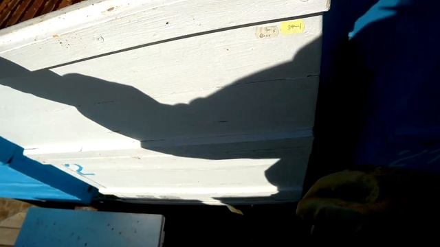 Когда начинать подготавливать пчёл к зимовке. смотреть онлайн