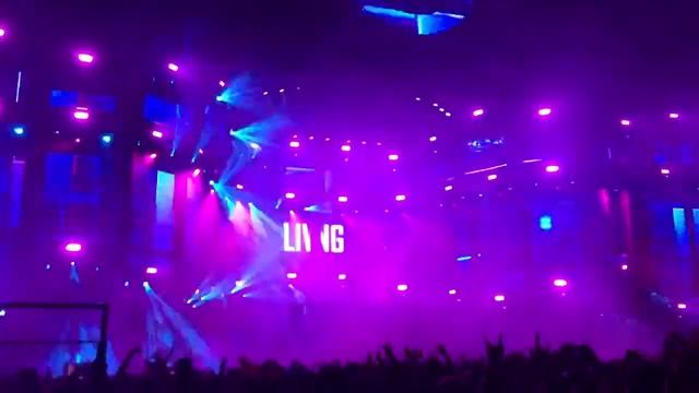 Hardwell - Creatures of The Night (Live at Ultra Singapore 2017) смотреть онлайн