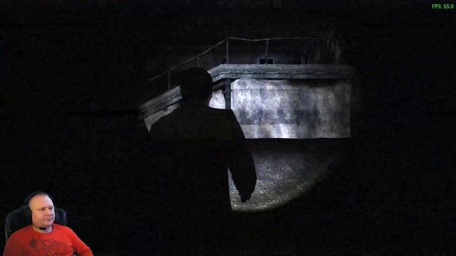 Silent Hill: Shattered Memories "По Ту Сторону Жизни" - Стрим #3 смотреть онлайн