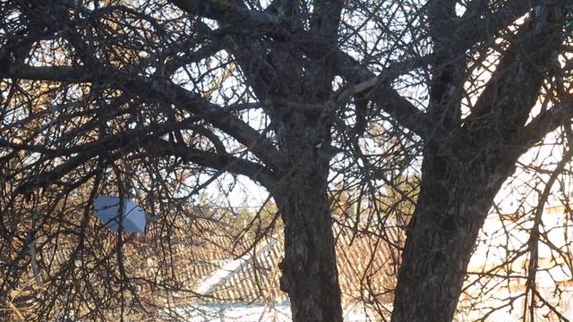 Виктор Безгодков. Устроить праздник. смотреть онлайн