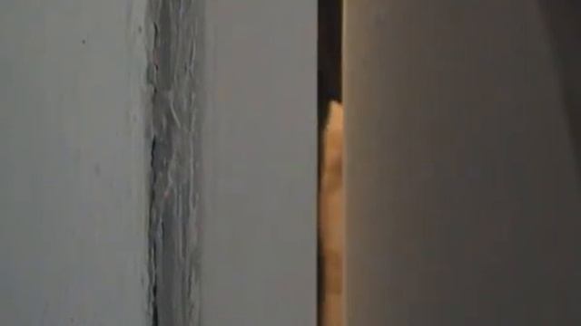 Часть 2. 31.01.2016. Деда уводят из нашей квартиры! смотреть онлайн