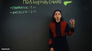 Эндокринная система | Гормоны | Биология ЦТ, ЕГЭ