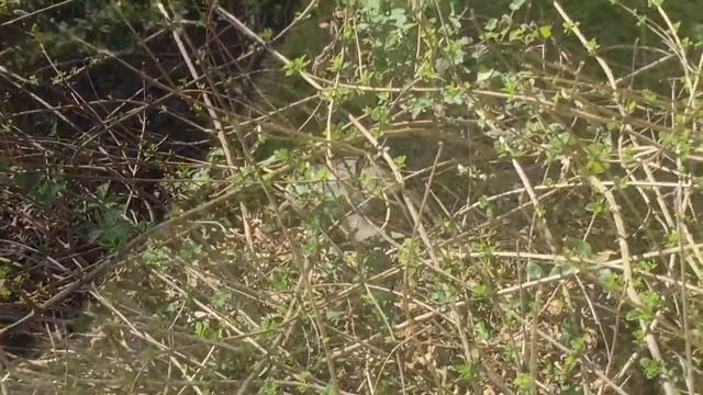 Чем занимаются футболисты между тренировками. Часть 2 .ФК Славия Мозырь смотреть онлайн