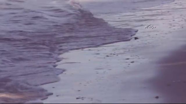 Engelbert Humperdinck - How Do I Stop Loving You