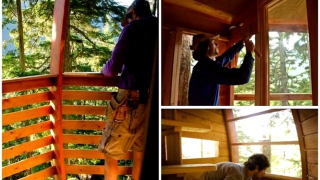 Сказочный домик на дереве, у хозяина которого есть причины держать жилище в секрете