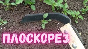 Плоскорез Фокина. Инструмент «на все руки» для садовода и огородника