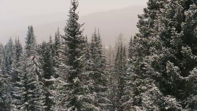 Как избавиться от бессонницы ночью смотреть онлайн