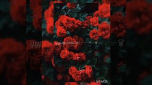 цыганская песня 2023💣💞 22 поцелуя любви✨