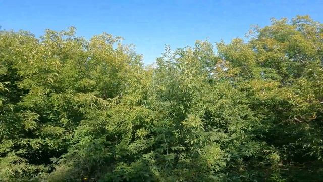 БАРНАУЛ интересные места ГОРОДА смотреть онлайн