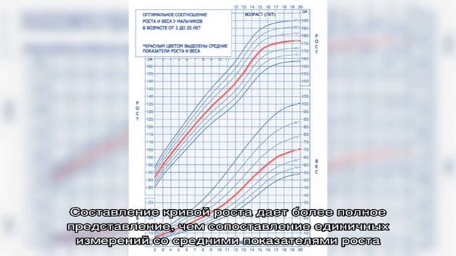 Рост подростка: таблица. Соотношение роста и веса у подростков по возрасту: периоды интенсивного р. смотреть онлайн