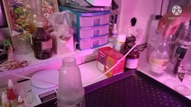 Аквариумные растения в Теплице смотреть онлайн