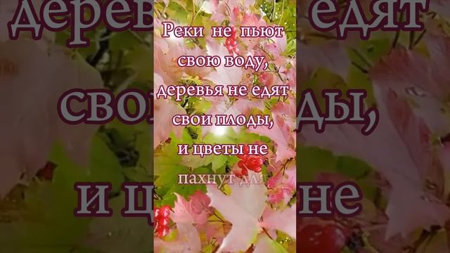 С праздником Жатвы! Христианское пожелание на русском языке! смотреть онлайн
