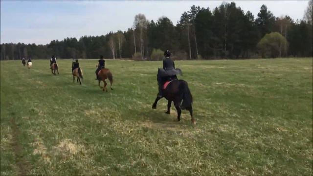 Майская смена 2018 Конный лагерь "КАЗАЧОК" смотреть онлайн
