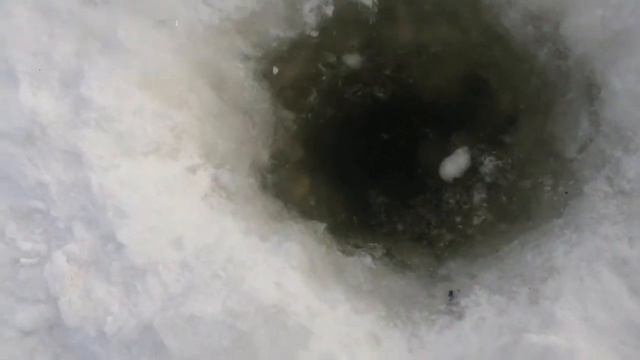 поставил подпуска остров Б. Уссурийский протока амурская смотреть онлайн