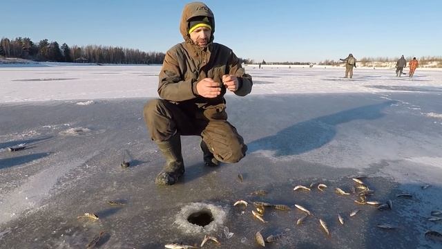 ПЕРВЫЙ ЛЁД! Зимняя РЫБАЛКА на ТОНКОМ льду! БЕШЕНЫЙ клёв на "ХАПУГУ" смотреть онлайн