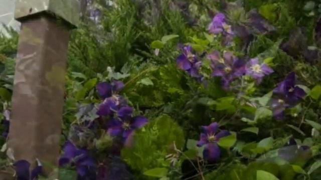 Study in Purple смотреть онлайн