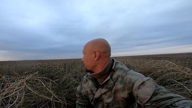 Лучшие налеты.Охота на утку 2021. Охота на убранной пшенице. Охота на утку осенью. Охота 2021. смотреть онлайн