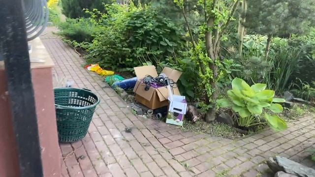 Ремонт пруда с сохранением рыбы и растений. Три дня за 7 минут. смотреть онлайн