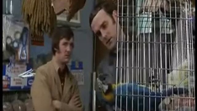 Monty Python - Dead Parrot смотреть онлайн