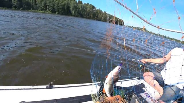 ЛОВЛЯ ОКУНЯ НА СПИННИНГ ЛЕТОМ. ПРИМАНКИ И ПРОВОДКИ НА ОКУНЯ смотреть онлайн