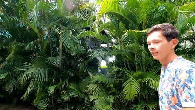 Доминикана. Обзор отеля Catalonia Royal La Romana 5*, Adults Only на Карибском побережье смотреть онлайн