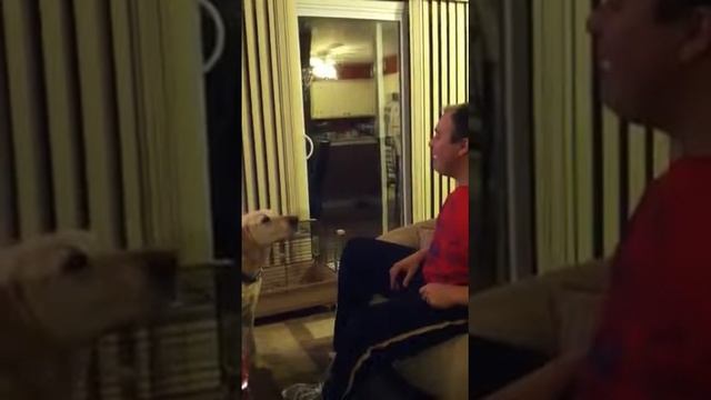 Ice cube toss смотреть онлайн