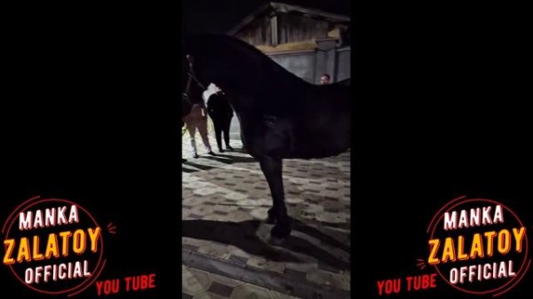 бахталэ рома - бахталэ мануша - цыганские кони 2023new