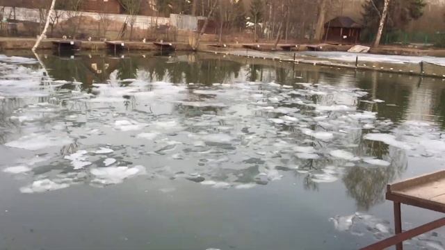 Вечерний обзор акватории. РК Фишка Липки. 8 апреля 2023. смотреть онлайн