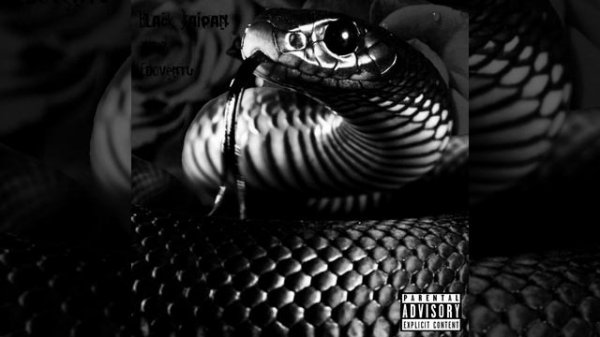 BLACK TAIPAN